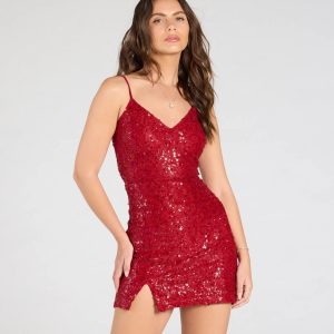 Becky Open Back Sequin Lace Mini Dress