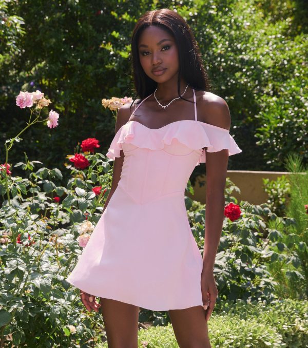Laced With Charm Corset Lace-Up Mini Dress
