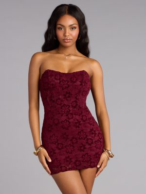 Wine And Roses Lace Mini Dress