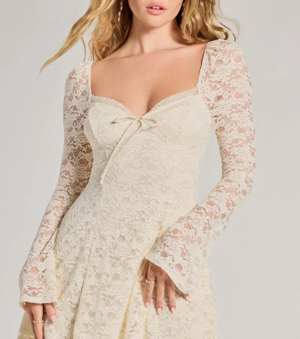 Romance Talks Long Sleeve A-Line Lace Mini Dress - Image 4