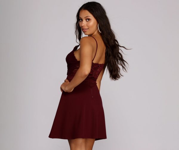 Lavish In Lace Skater Dress - Image 2