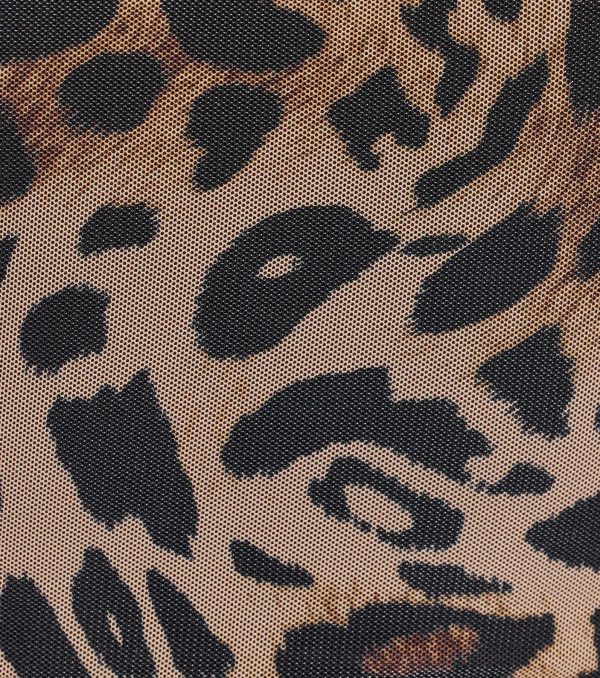 Feline Fierce Lace Trim Leopard Mesh Bustier - Image 4