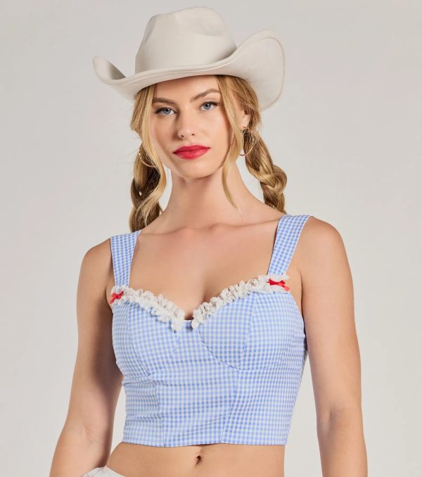 Kansas Girlie Gingham Lace Trim Crop Top - Image 3