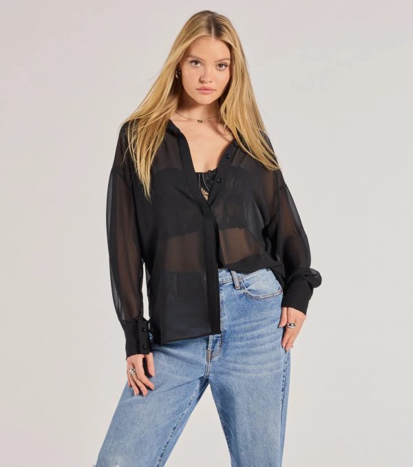 Sheer Ambition Long Sleeve Collared Blouse - Image 5