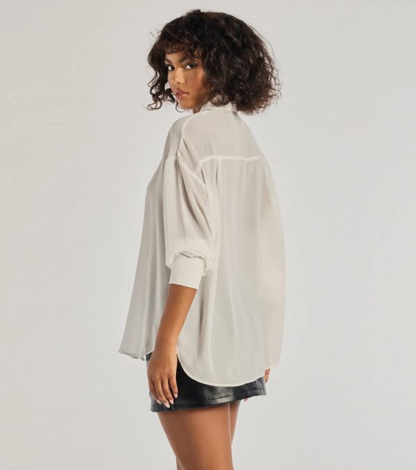 Sheer Ambition Long Sleeve Collared Blouse - Image 2