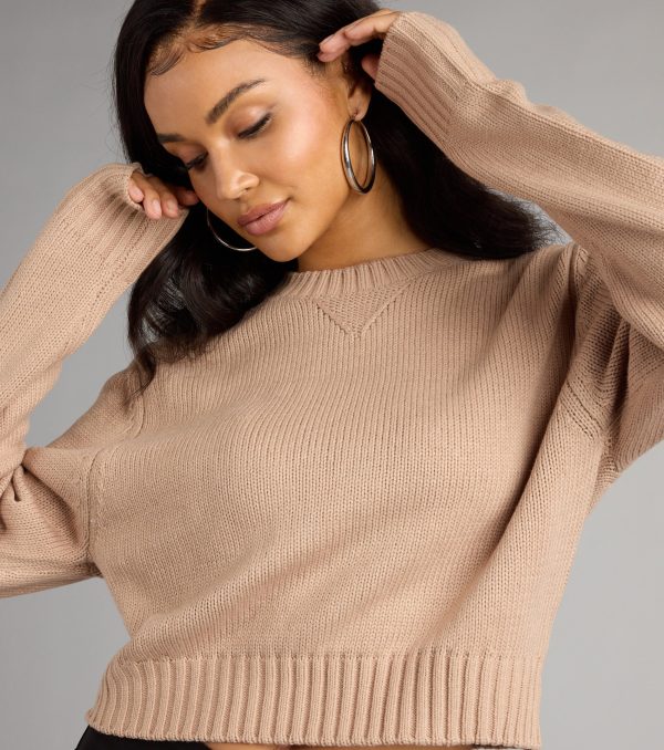 Cozy Agenda Crew Neck Knit Sweater - Image 4