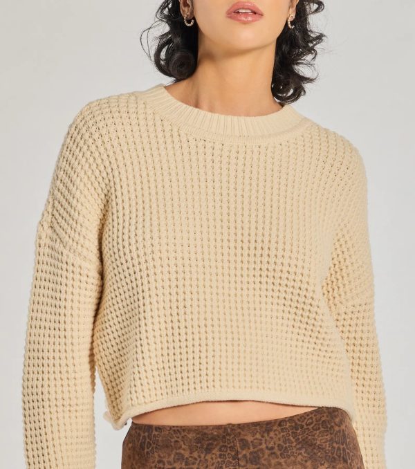 Coziest Style Waffle Knit Crew Neck Sweater - Image 4
