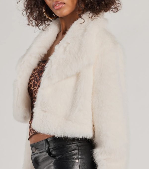 Layer On The Luxe Faux Fur Cropped Jacket - Image 5