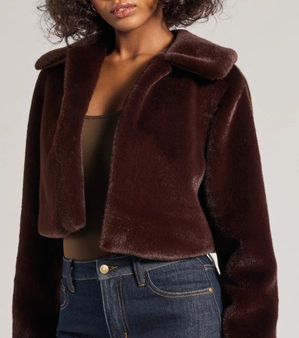 Looking Luxe Faux Fur Cropped Jacket - Image 4