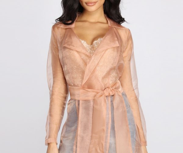 Sheer Luminosity Organza Trench Coat - Image 3