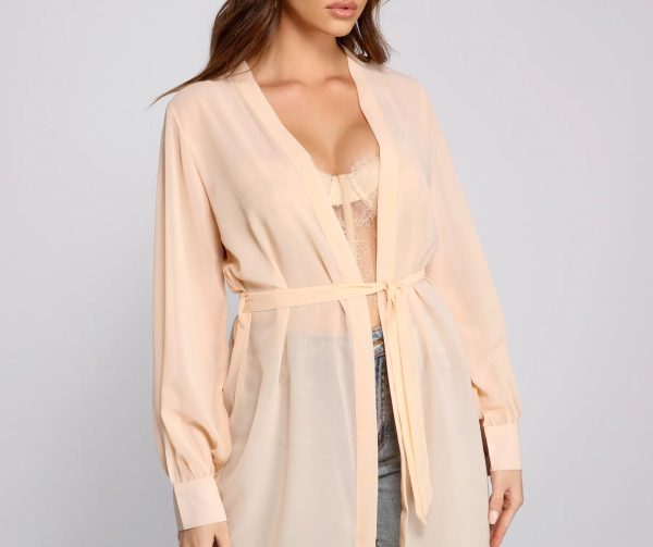 Sheer Appeal Chiffon Belted Trench - Image 3