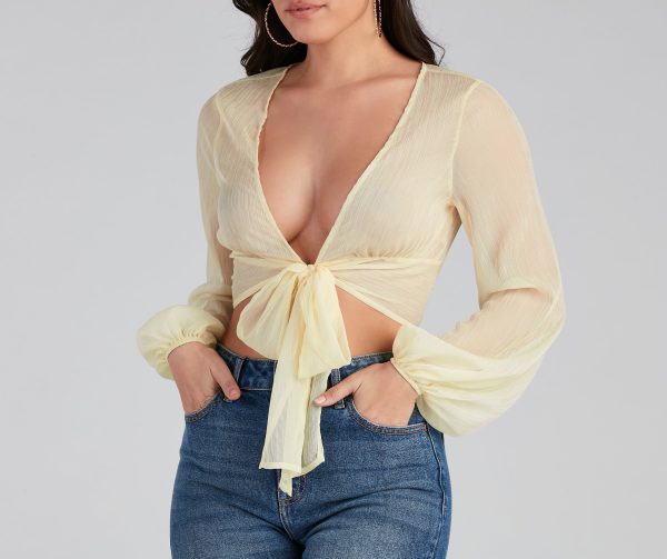 Sheer And Chic Tie Front Top - Image 4