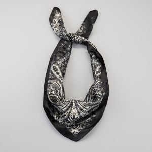 Dream On Paisley Satin Scarf