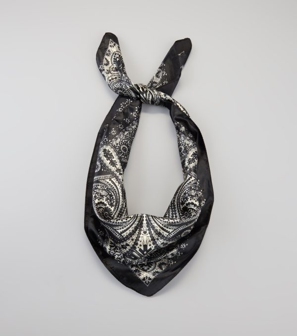 Dream On Paisley Satin Scarf