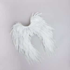 Heaven Sent Angel Wings