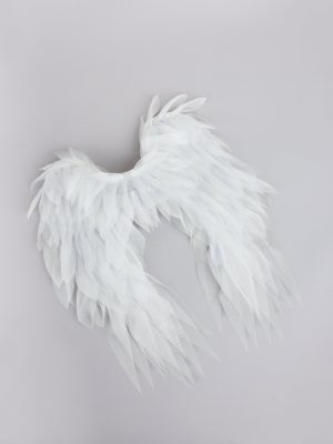Heaven Sent Angel Wings