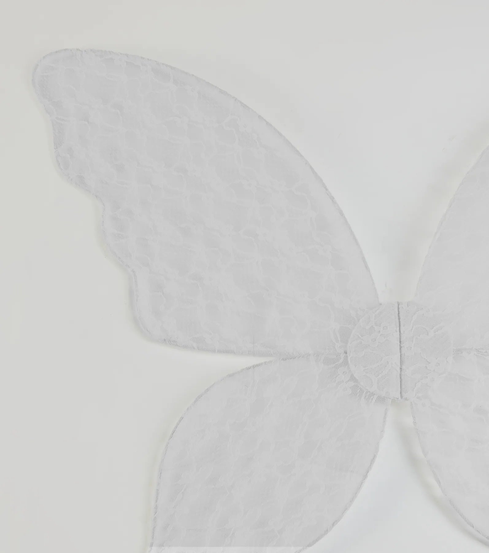 Mystical Fantasy Sheer Lace Wings - Image 5