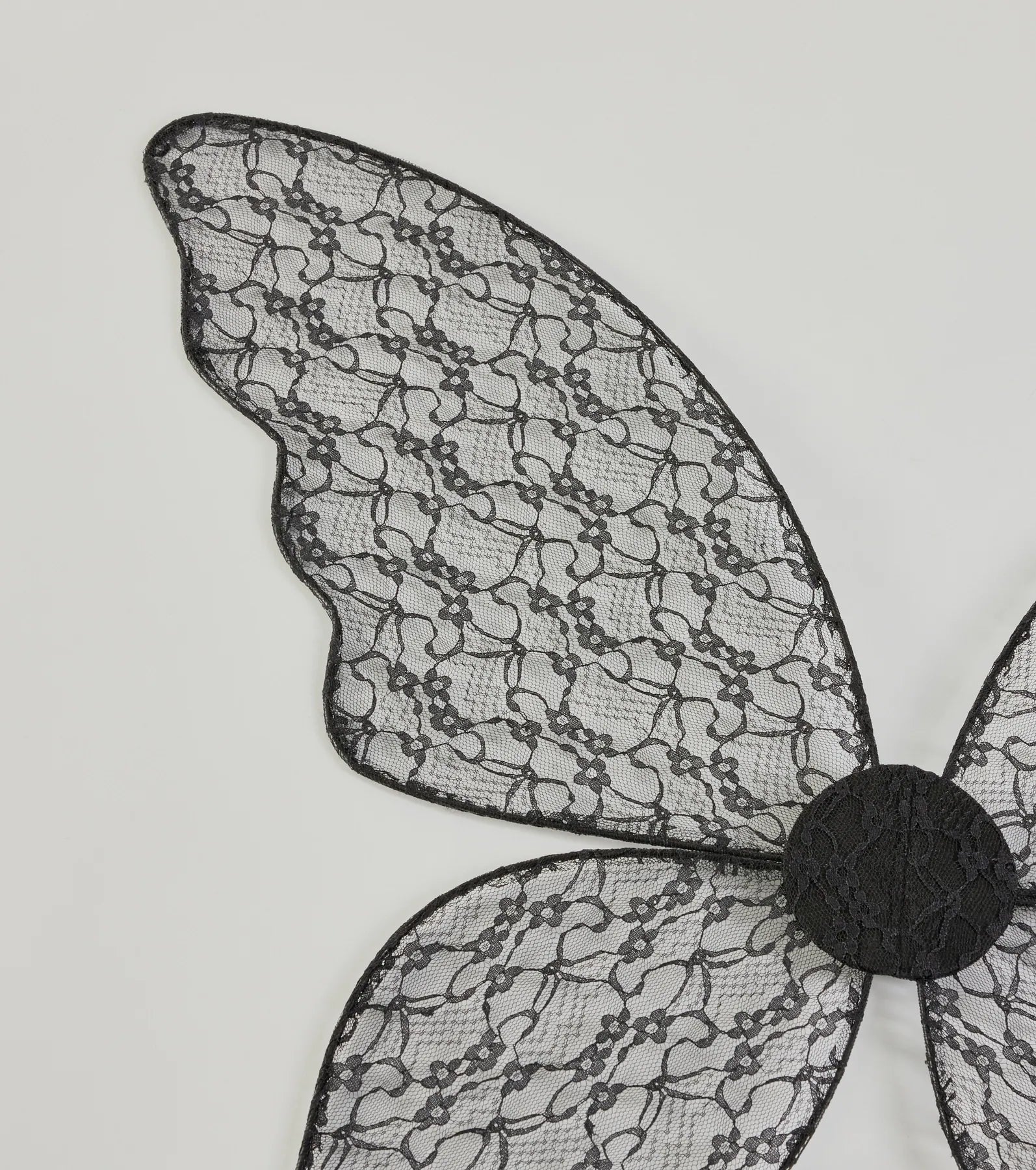 Mystical Fantasy Sheer Lace Wings - Image 7