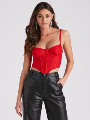 Desire For Lace Mesh Corset Top