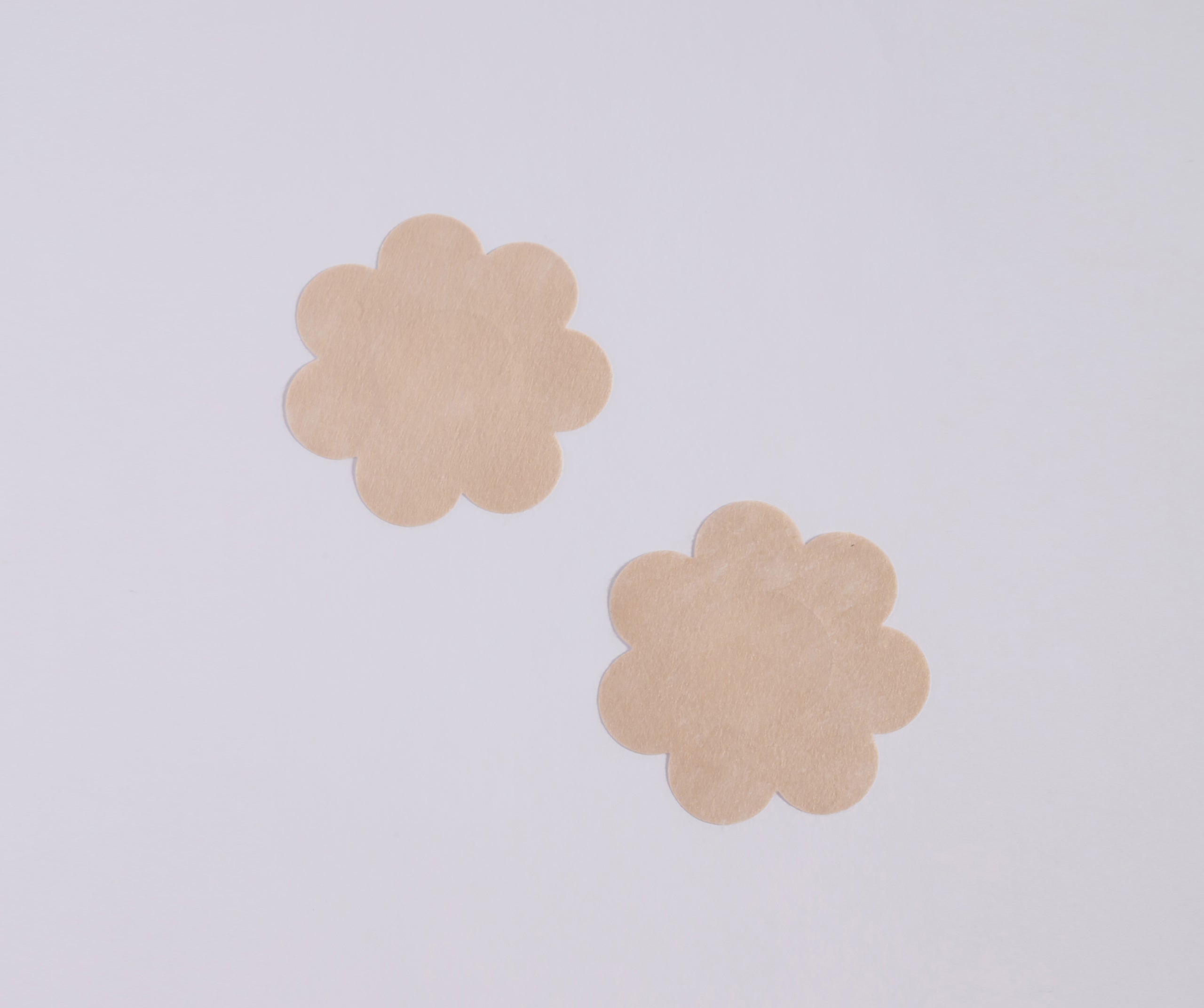 Five-Pack Disposable Petal Pasties - Image 2