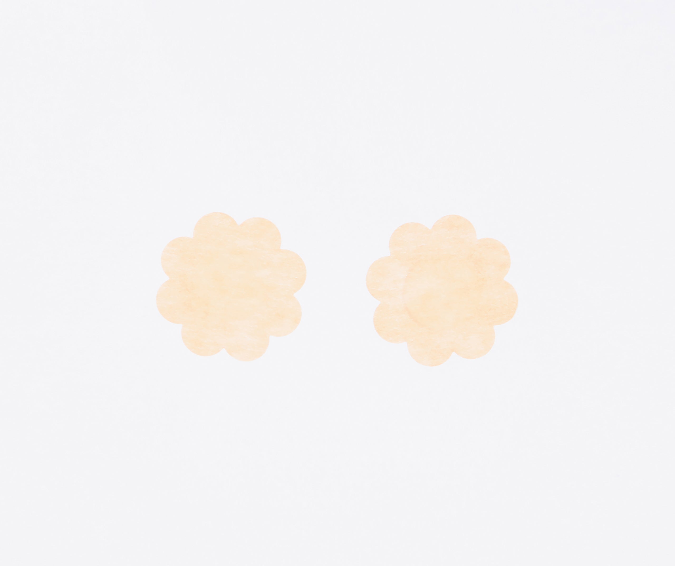 Petal Pasties And Lift Tape Set - Image 2