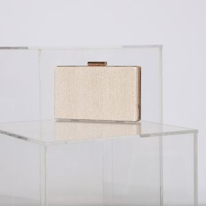 Glitz And Pose Glitter Mesh Box Clutch