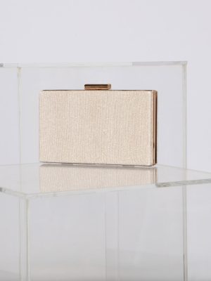 Glitz And Pose Glitter Mesh Box Clutch